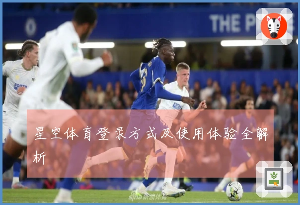 星空体育登录方式及使用体验全解析
