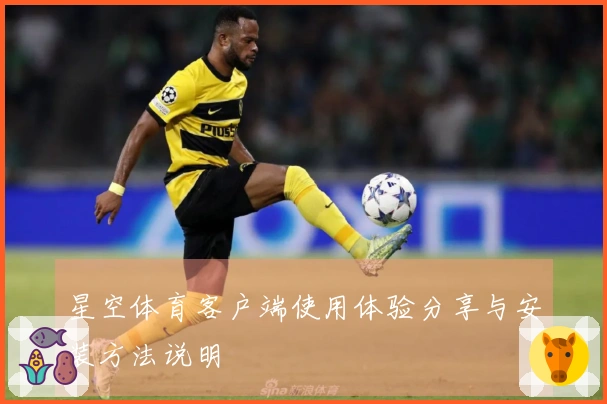 星空体育客户端使用体验分享与安装方法说明