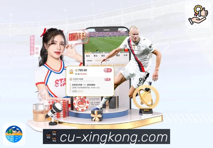 关键回合解说提示