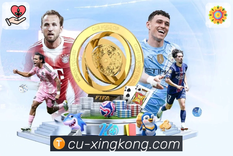 xingkong可持续内容